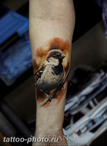рисунка тату воробей 03.12.2018 №101 - photo tattoo sparrow - tattoo-photo.ru